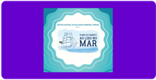 2019 combate lixo mar